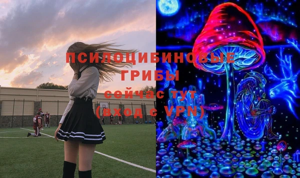 МДПВ Балахна