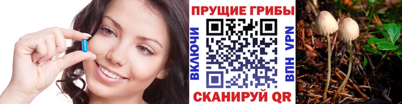 Псилоцибиновые грибы ЛСД  Белоусово 