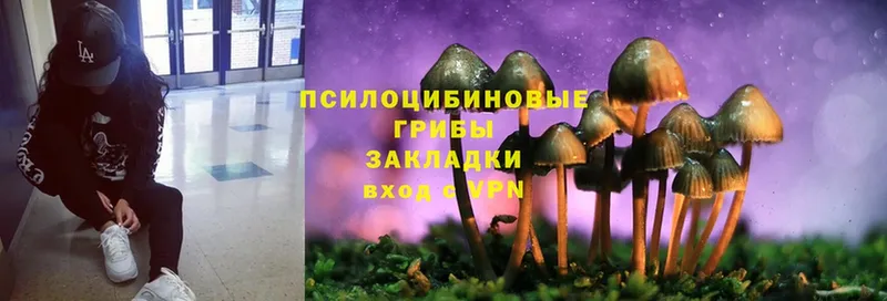 ссылка на мегу как войти  Белоусово  Псилоцибиновые грибы Psilocybine cubensis  купить закладку 